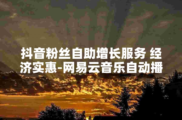 抖音粉丝自助增长服务 经济实惠-网易云音乐自动播放量提升48小时,网络红人科技助力