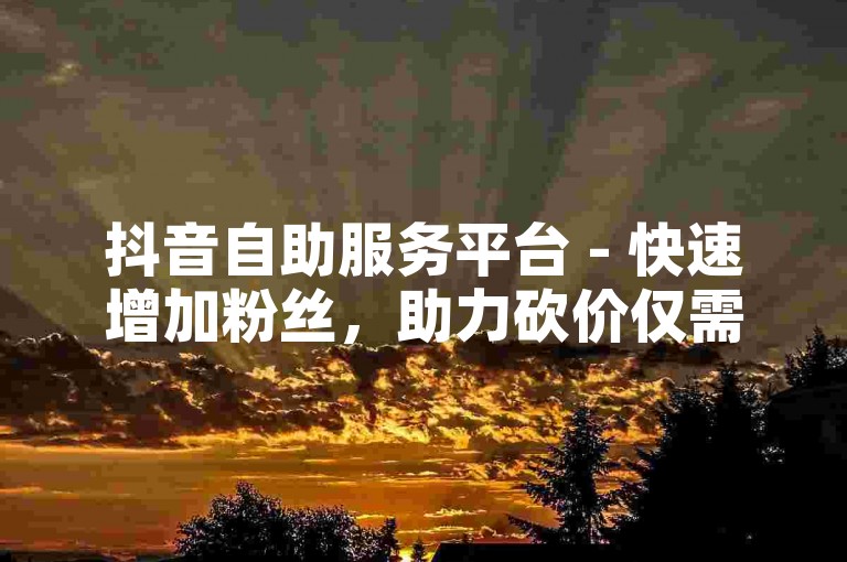 抖音自助服务平台 - 快速增加粉丝，助力砍价仅需1分。