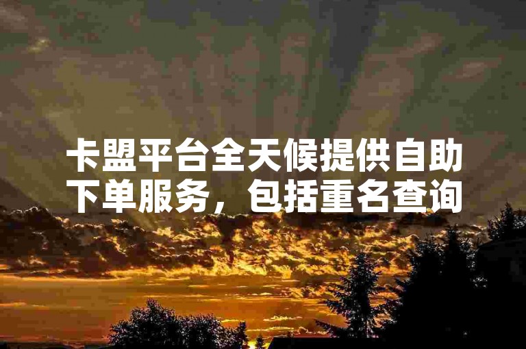 卡盟平台全天候提供自助下单服务，包括重名查询与大表哥自媒体的订单处理。