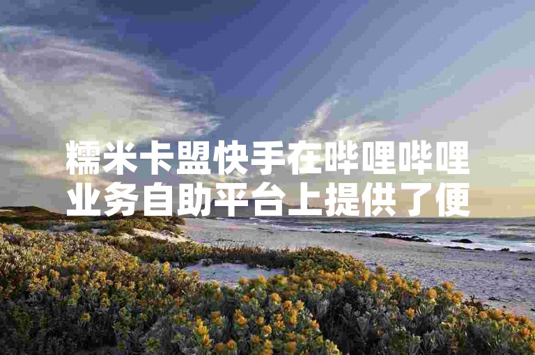 糯米卡盟快手在哔哩哔哩业务自助平台上提供了便捷的服务。
