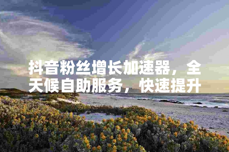 抖音粉丝增长加速器，全天候自助服务，快速提升影响力。
