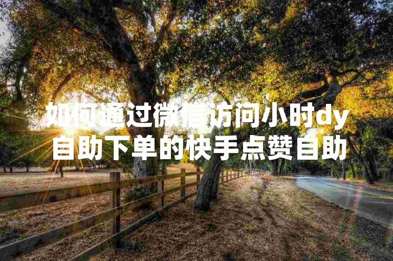 如何通过微信访问小时dy自助下单的快手点赞自助平台下单网站。