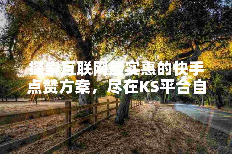 探索互联网最实惠的快手点赞方案，尽在KS平台自助服务，享受前所未有的低价体验。