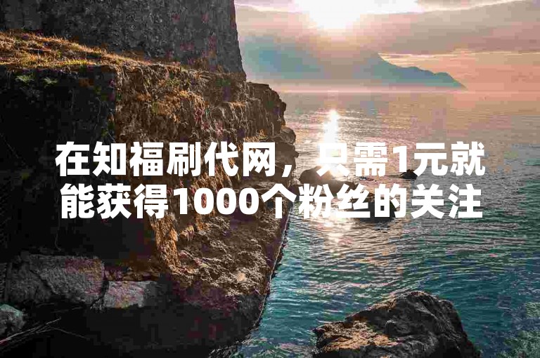 在知福刷代网，只需1元就能获得1000个粉丝的关注。
