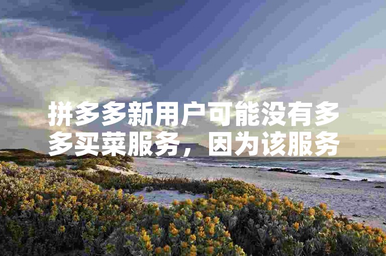 拼多多新用户可能没有多多买菜服务，因为该服务可能仅对特定地区或满足一定条件的用户开放。