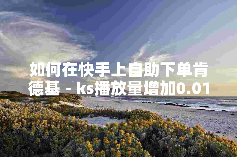 如何在快手上自助下单肯德基 - ks播放量增加0.01