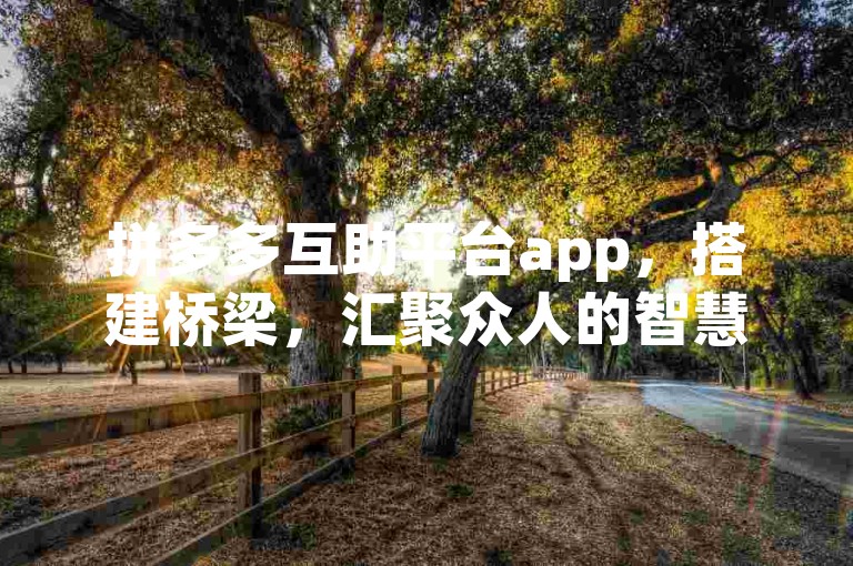 拼多多互助平台app，搭建桥梁，汇聚众人的智慧与力量。