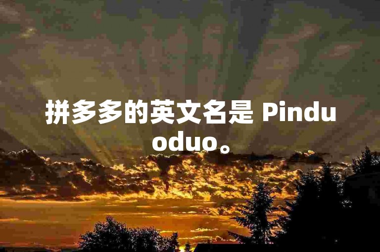 拼多多的英文名是 Pinduoduo。