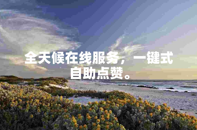 全天候在线服务，一键式自助点赞。