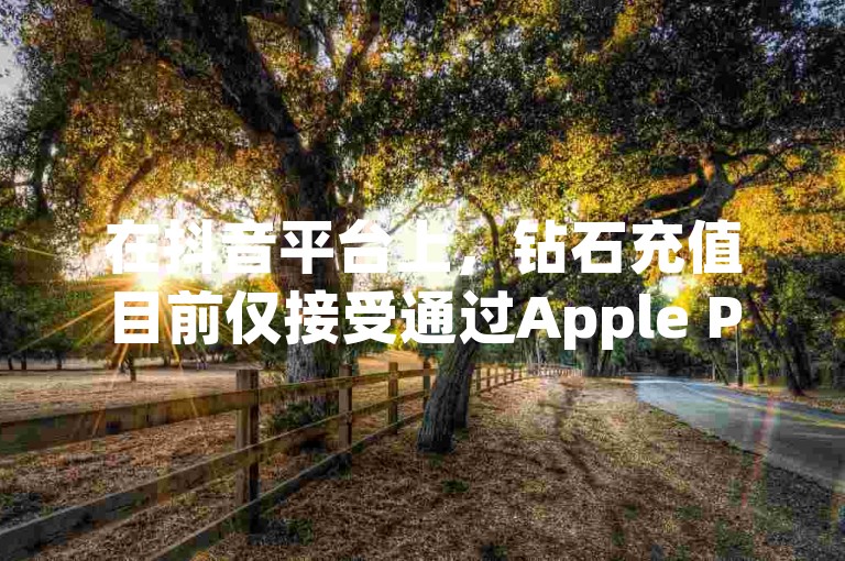 在抖音平台上，钻石充值目前仅接受通过Apple Pay进行支付。