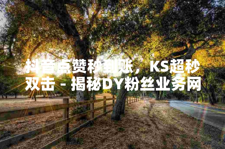 抖音点赞秒到账，KS超秒双击 - 揭秘DY粉丝业务网，快手业务24小时在线下单微信支付！