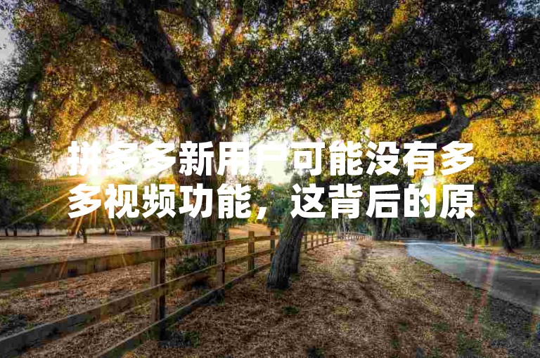 拼多多新用户可能没有多多视频功能，这背后的原因可能涉及到平台对于新用户的权限设置、功能更新的阶段性推送或是用户账户的具体配置等因素。