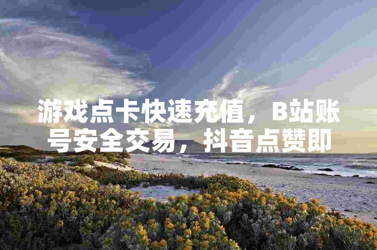 游戏点卡快速充值，B站账号安全交易，抖音点赞即时服务网站 - 影视会员优惠充值代理，24小时游戏卡密自动发货平台。