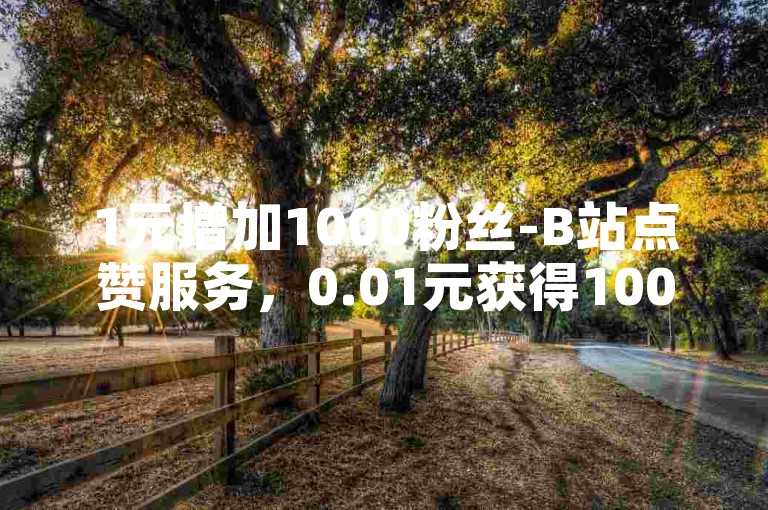 1元增加1000粉丝-B站点赞服务，0.01元获得1000个赞的抖音平台。