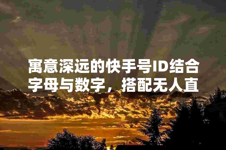 寓意深远的快手号ID结合字母与数字，搭配无人直播必备软件，卡盟24小时自动发卡平台助力，qq空间轻松获十万赞。