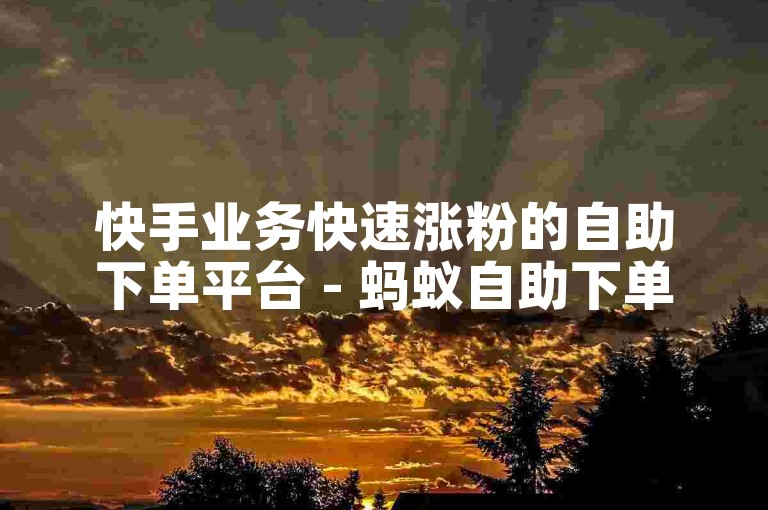 快手业务快速涨粉的自助下单平台 - 蚂蚁自助下单平台快手