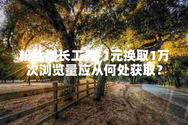 粉丝增长工具-1元换取1万次浏览量应从何处获取？