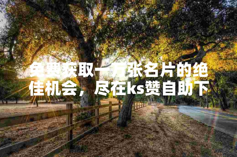 免费获取一万张名片的绝佳机会，尽在ks赞自助下单平台，更有十个赞等你来领！