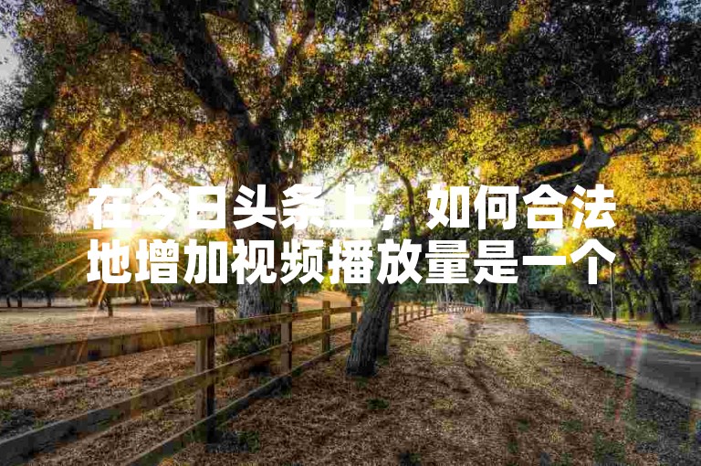 在今日头条上，如何合法地增加视频播放量是一个值得探讨的话题。