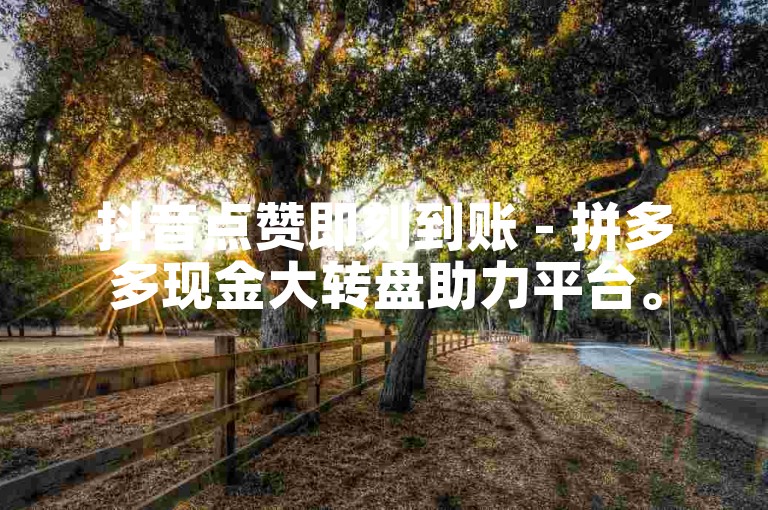 抖音点赞即刻到账 - 拼多多现金大转盘助力平台。