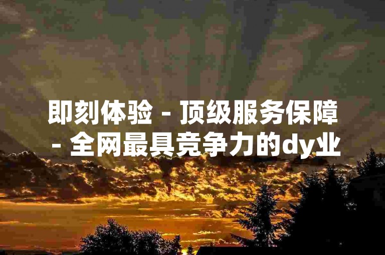 即刻体验 - 顶级服务保障 - 全网最具竞争力的dy业务优惠