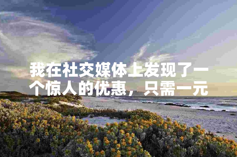 我在社交媒体上发现了一个惊人的优惠，只需一元钱就能购买到500个赞，这无疑是一个非常划算的交易。