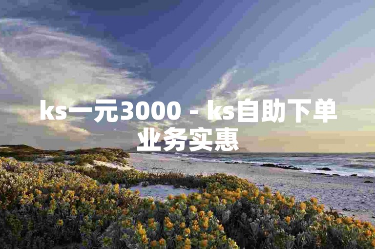 ks一元3000 - ks自助下单业务实惠