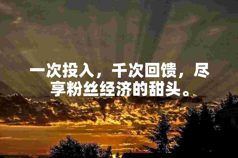 一次投入，千次回馈，尽享粉丝经济的甜头。