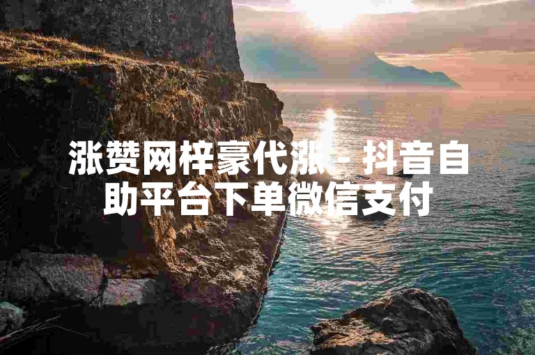 涨赞网梓豪代涨 - 抖音自助平台下单微信支付
