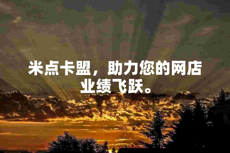 米点卡盟，助力您的网店业绩飞跃。