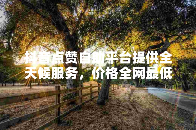抖音点赞自助平台提供全天候服务，价格全网最低 - ks点赞自助平台经济实惠秀英。