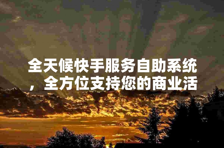 全天候快手服务自助系统，全方位支持您的商业活动，助力事业蓬勃发展。