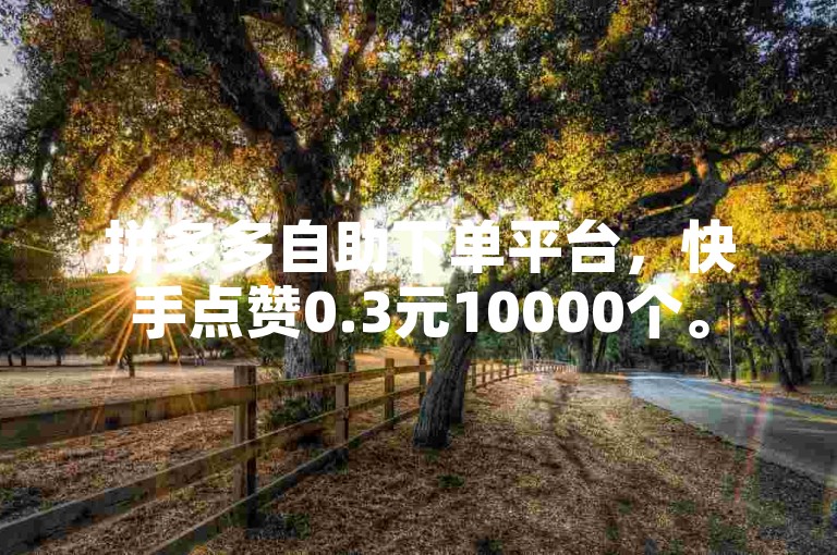 拼多多自助下单平台，快手点赞0.3元10000个。
