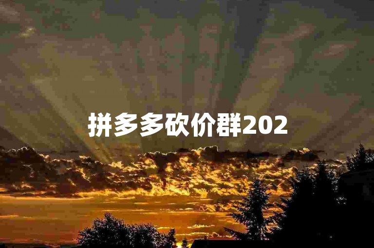 拼多多砍价群2025pdd助力平台