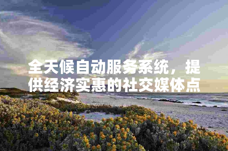 全天候自动服务系统，提供经济实惠的社交媒体点赞解决方案。