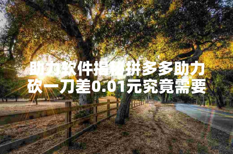 助力软件揭秘拼多多助力砍一刀差0.01元究竟需要多少人？