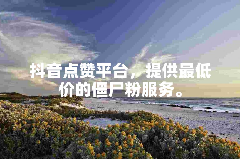 抖音点赞平台，提供最低价的僵尸粉服务。