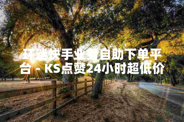 环迷快手业务自助下单平台 - KS点赞24小时超低价业务平台