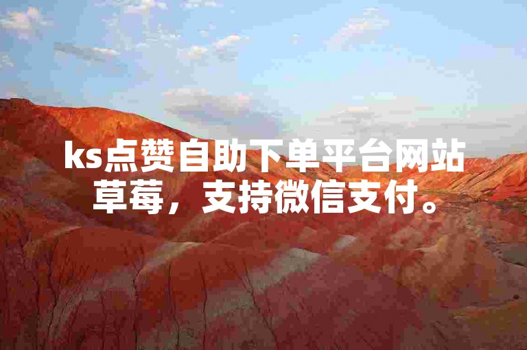 ks点赞自助下单平台网站草莓，支持微信支付。