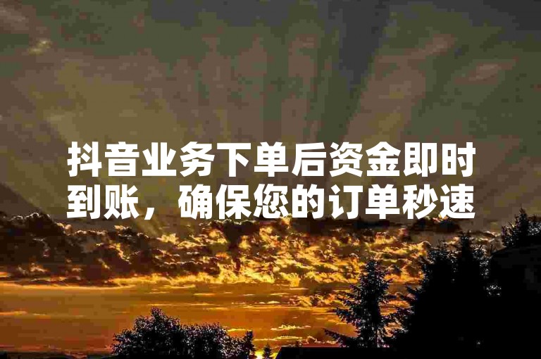 抖音业务下单后资金即时到账，确保您的订单秒速处理无忧。