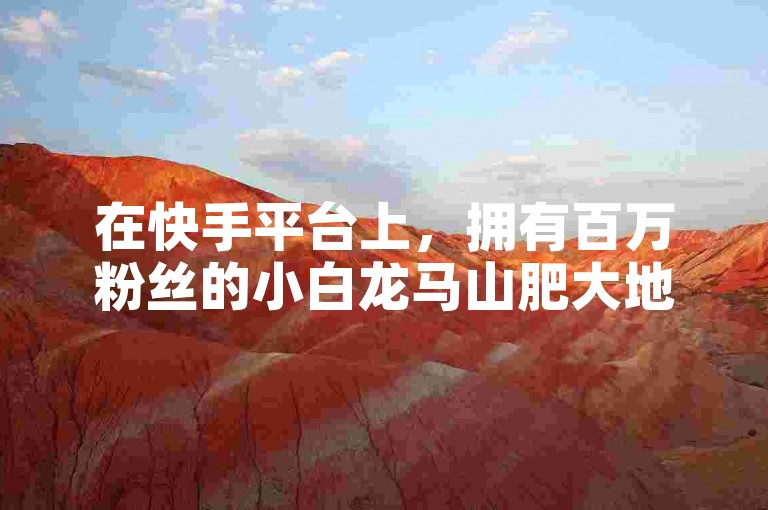 在快手平台上，拥有百万粉丝的小白龙马山肥大地房产装修网站提供了全面的装修指南。