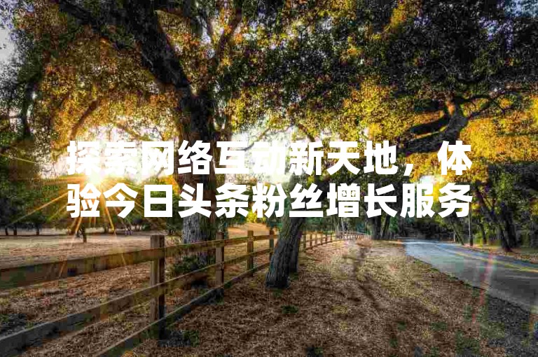 探索网络互动新天地，体验今日头条粉丝增长服务，快手点赞与微信自助推广一站搞定，尽在KS推广自助平台，官方快币充值通道等你来。