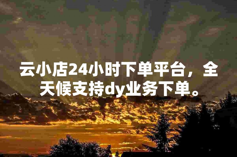 云小店24小时下单平台，全天候支持dy业务下单。