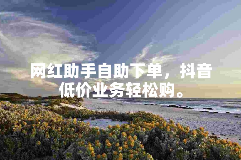 网红助手自助下单，抖音低价业务轻松购。