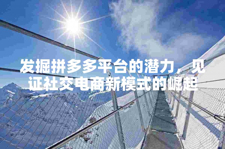 发掘拼多多平台的潜力，见证社交电商新模式的崛起。
