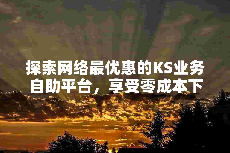 探索网络最优惠的KS业务自助平台，享受零成本下单的便捷服务。