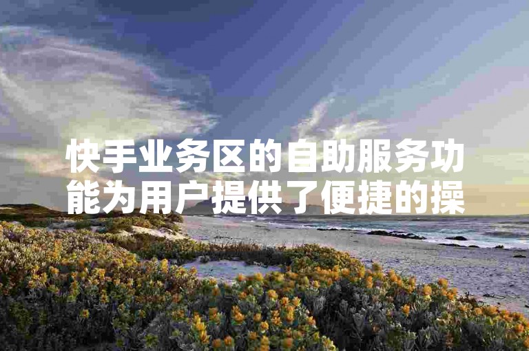 快手业务区的自助服务功能为用户提供了便捷的操作体验。