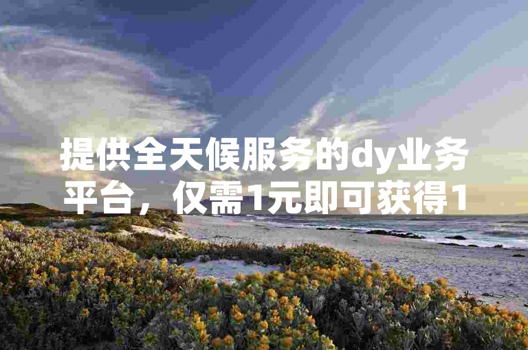 提供全天候服务的dy业务平台，仅需1元即可获得100个赞。