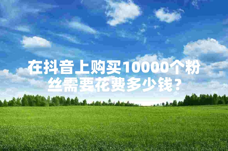 在抖音上购买10000个粉丝需要花费多少钱？