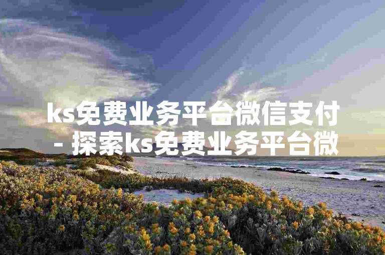 ks免费业务平台微信支付 - 探索ks免费业务平台微信支付的独特优势！